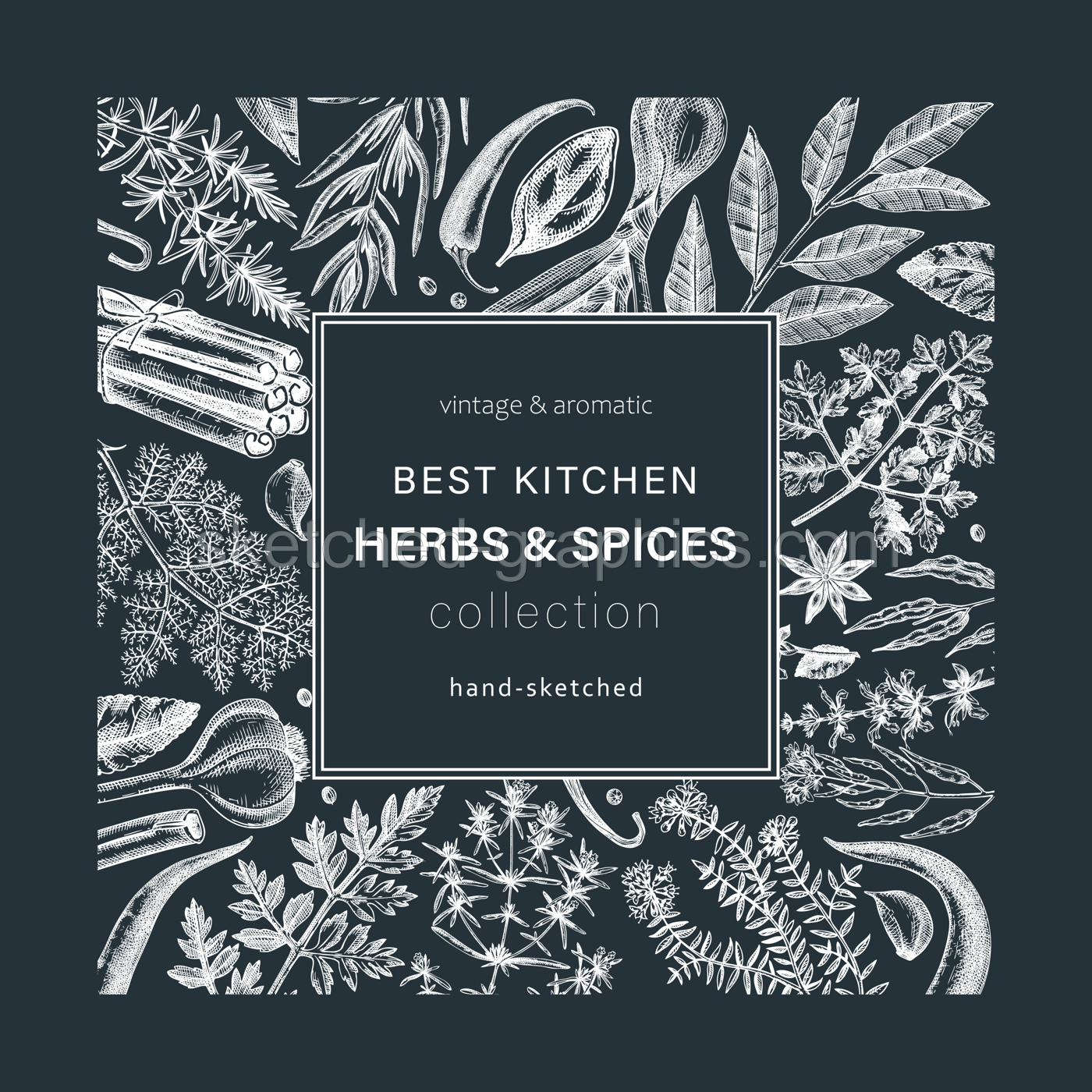 Hand-drawn herbs and spices wreath. Hand-sketched food card on chalkboard Vintage aromatic plants hand-drawing. Kitchen herbs and spice frame template in sketched style for menu or banners Illustration